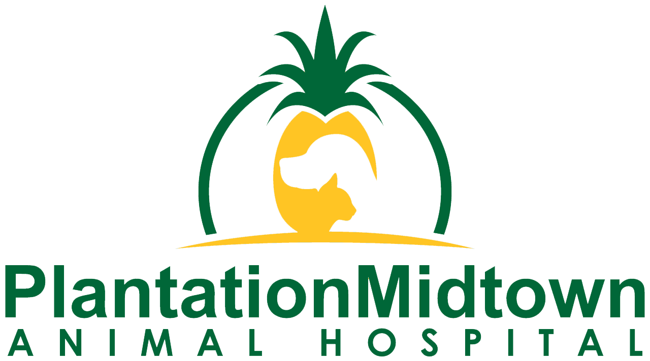 Plantation Midtown Animal Hospital Favicon