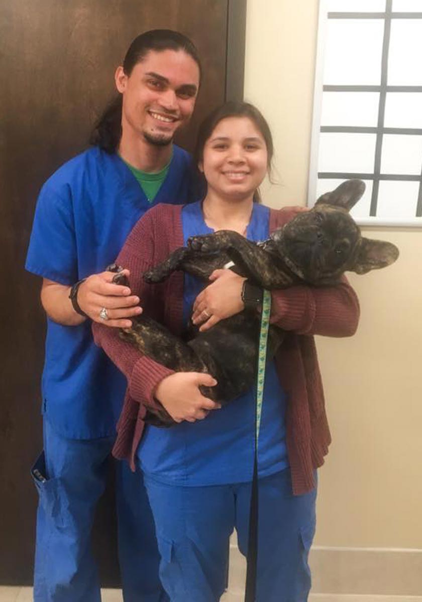 Vet Techs Holding Dog